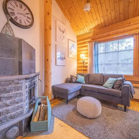 Ainola Cabin In Levi Chalet *