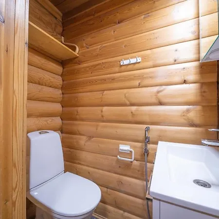 Ainola Cabin In Levi Chalet